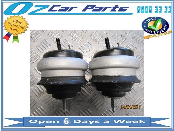 FITS FORD TERRITORY 2004-2011 4.0L 6CYCL ENGINE MOUNT PAIR NEW