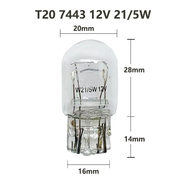 NEW X1 PCS T20 CLEAR Bulb Globe FOR BRAKE & PARK LIGHT
