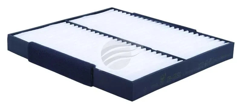 NEW Pollen Filter Cabin Air Filter RCA187P WACF0018 GS1D61P11