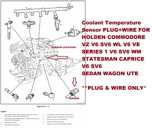 NEW Coolant Temperature Sensor PLUG+WIRE FOR HOLDEN COMMODORE VE SV6 SERIES 1
