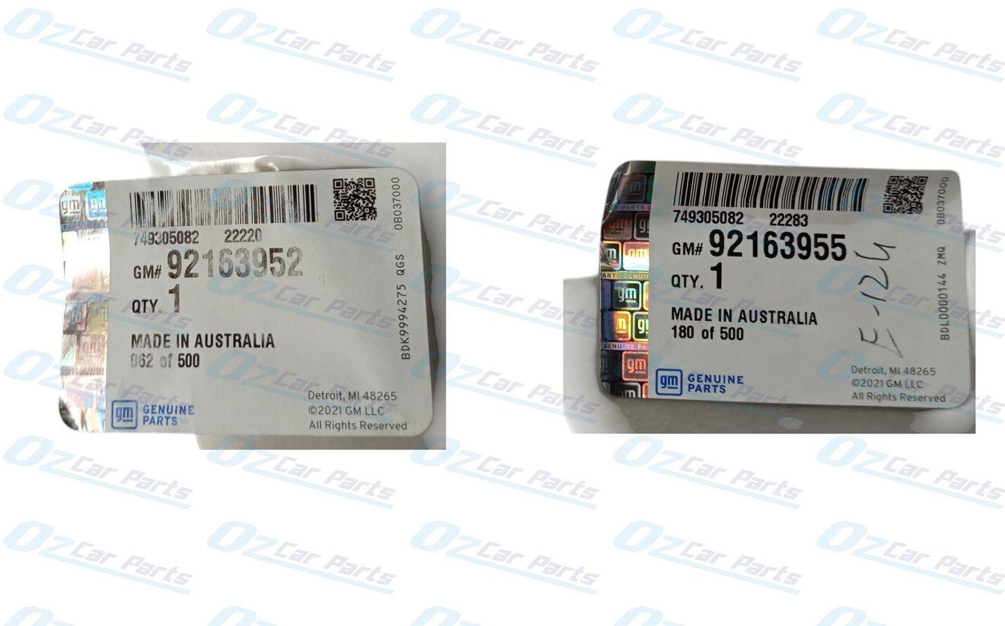 Lower Cover Foglight Inserts Pair Genuine for Holden Commodore VZ Executive