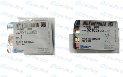 Lower Cover Foglight Inserts Pair Genuine for Holden Commodore VZ Executive