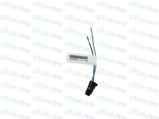 Rear Door Electric Window Regulator Motor Wire Genuine for Holden Commodore VY VZ WK WL