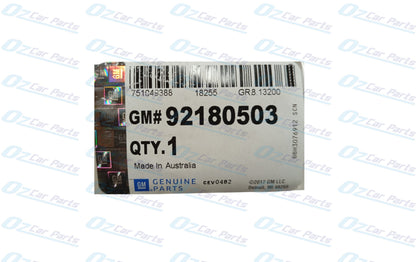 Guard Mould Trim Chrome Genuine for Holden VE Calais LHF Sedan