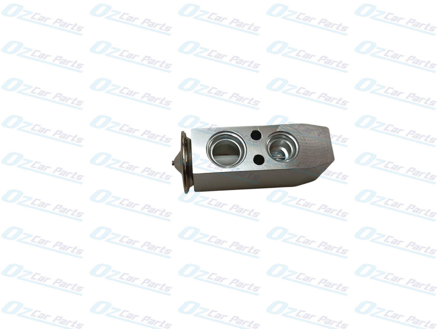 AC Aircon TX Valve for Holden Commodore VT VX VY VZ WH WK WL Statesman Caprice