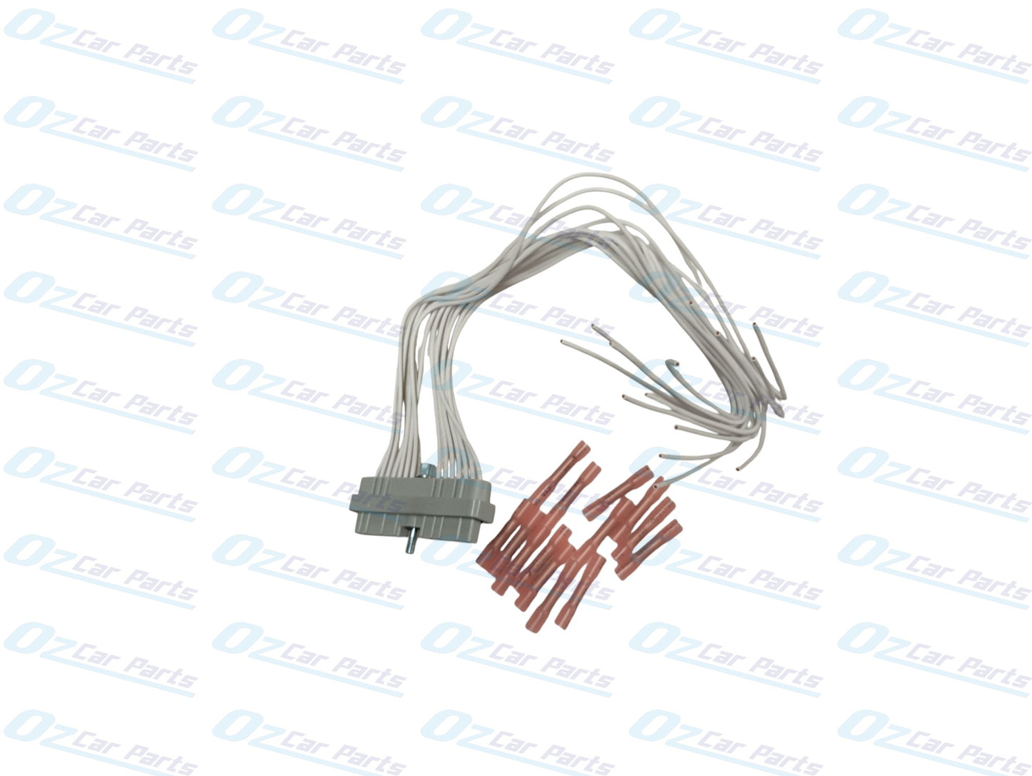 Ignition Coil DFI Moduel Plug with Wire for Holden Commodore VS VT VX VY VU Ute WH WK 3.8L 6Cyl VH Engine