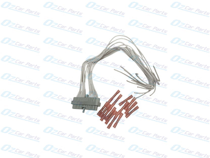 Ignition Coil DFI Moduel Plug with Wire for Holden Commodore VS VT VX VY VU Ute WH WK 3.8L 6Cyl VH Engine