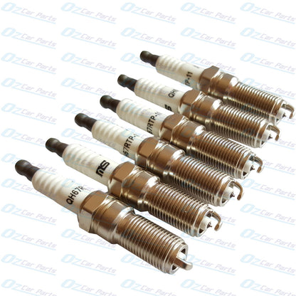 Platinum Spark Plugs Set of 6 for Holden Commodore VE VZ WL WM 3.6L 3.0L V6 SV6