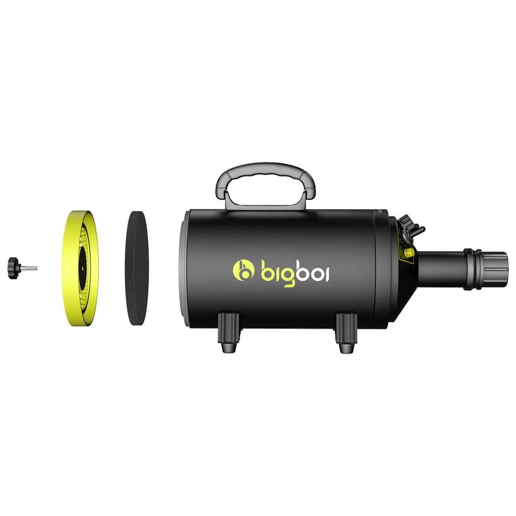 BigBoi BLOWR MINI Touchless Car Dryer